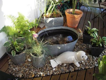gallery_13303_4098_54771.jpg