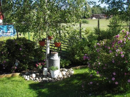 gallery_13303_4098_130842.jpg