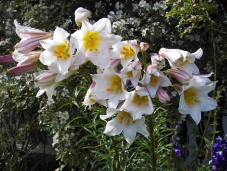 gallery_13303_4103_127649.jpg