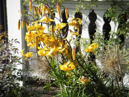 gallery_13303_4103_26306.jpg