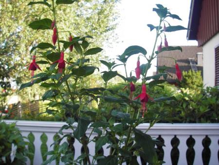 gallery_13303_4104_46989.jpg