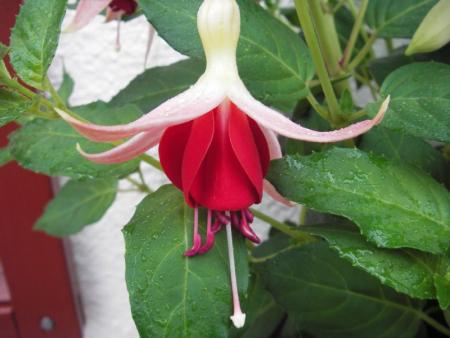 gallery_13303_4104_59093.jpg