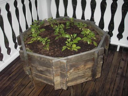 gallery_13303_4105_112469.jpg