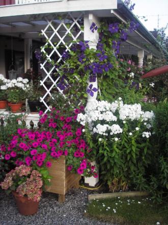 gallery_13303_4106_139317.jpg