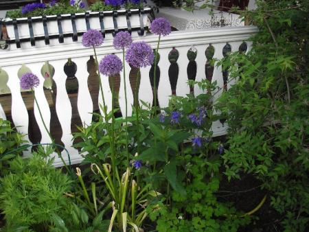 gallery_13303_4109_24079.jpg