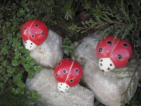 gallery_13303_4098_135680.jpg