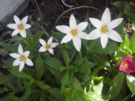 gallery_13303_4111_17197.jpg