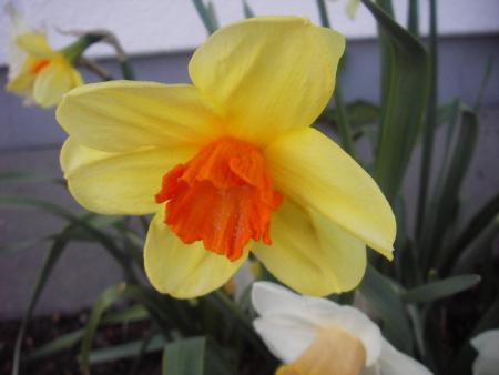 gallery_13303_4112_11124.jpg