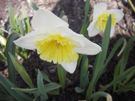 gallery_13303_4112_48670.jpg