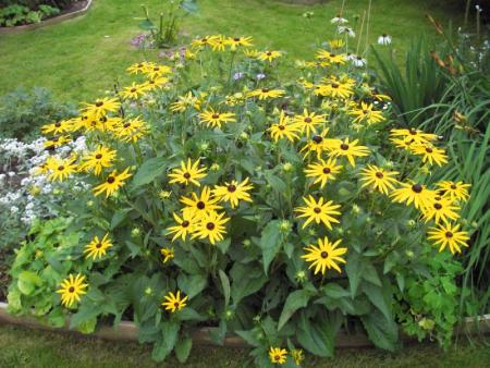 gallery_13303_4114_139307.jpg