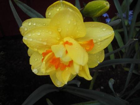 gallery_13303_4112_12763.jpg