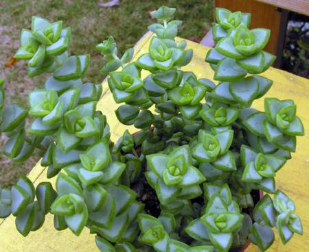 gallery_27453_4115_57603.jpg