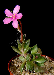 gallery_27453_4116_3502.jpg