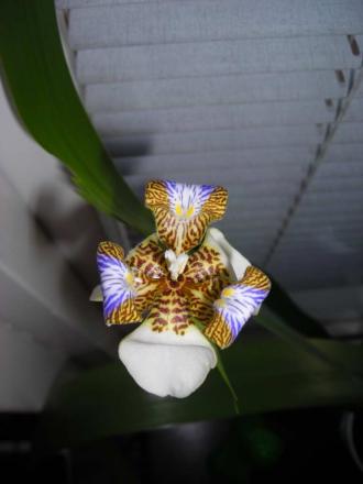 gallery_27498_4121_53864.jpg