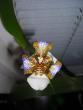tn_gallery_27498_4121_53864.jpg