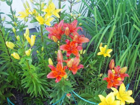 gallery_13303_4103_7658.jpg