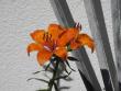 tn_gallery_13303_4103_42037.jpg