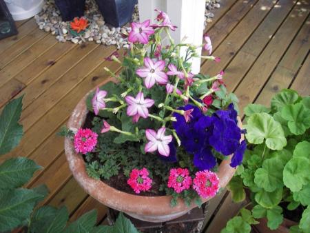 gallery_13303_4113_119408.jpg