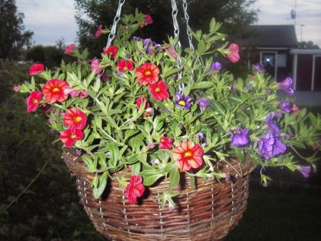 gallery_13303_4113_126709.jpg