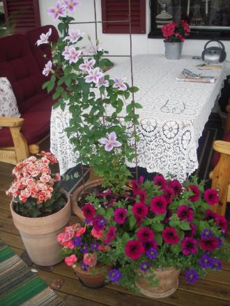 gallery_13303_4113_133660.jpg