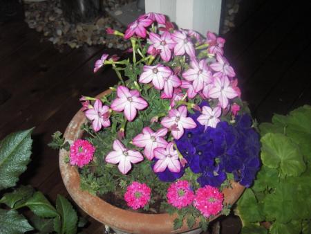 gallery_13303_4113_22173.jpg