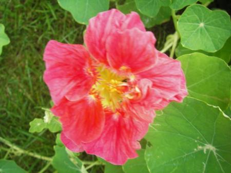 gallery_13303_4113_58415.jpg