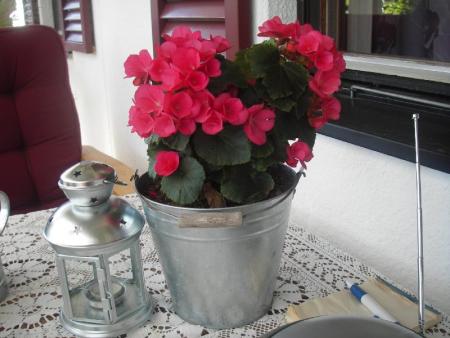 gallery_13303_4127_13486.jpg