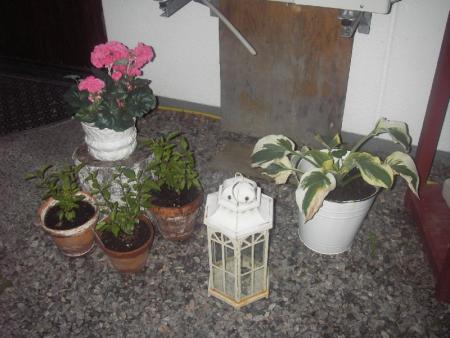 gallery_13303_4092_109098.jpg