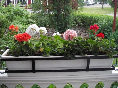 gallery_13303_4094_135750.jpg
