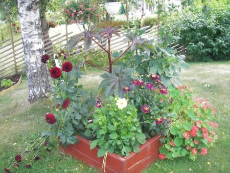 gallery_13303_4097_145109.jpg