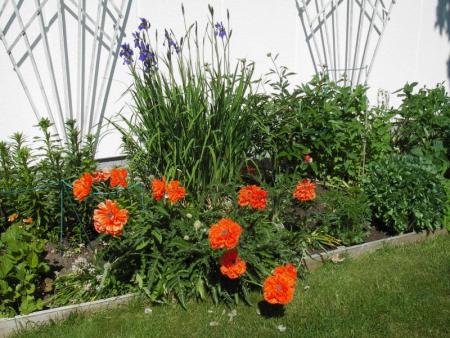 gallery_13303_4099_104809.jpg