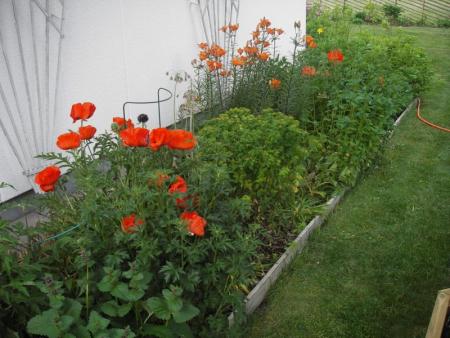 gallery_13303_4099_76143.jpg