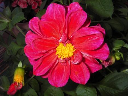 gallery_13303_4105_14780.jpg