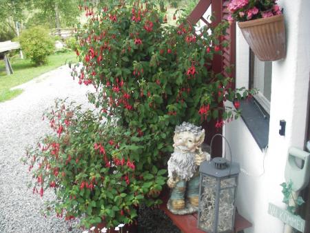 gallery_13303_4104_44900.jpg