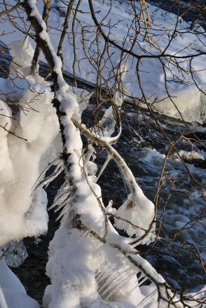 gallery_4207_4062_142359.jpg
