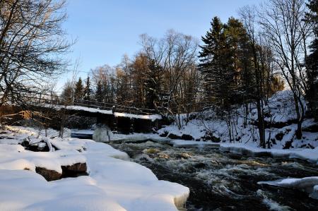 gallery_4207_4062_404763.jpg