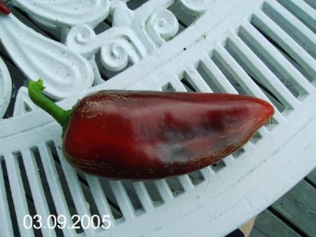 gallery_6489_4129_20919.jpg