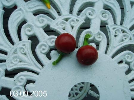 gallery_6489_4129_49627.jpg