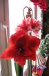 tn_gallery_23204_4132_22038.jpg