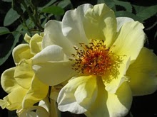gallery_6005_3695_2673.jpg