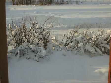 gallery_22761_4056_169854.jpg