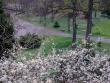 tn_gallery_22122_4141_42871.jpg