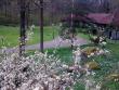 tn_gallery_22122_4141_523.jpg
