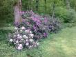 tn_gallery_22122_4141_64425.jpg
