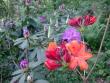 tn_gallery_22122_4141_76556.jpg