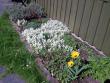 tn_gallery_22122_4141_79994.jpg