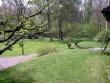 tn_gallery_22122_4141_8017.jpg