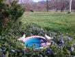 tn_gallery_22122_4141_91623.jpg