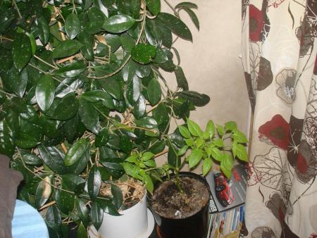 gallery_27171_4057_110635.jpg