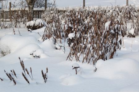 gallery_4207_4062_283616.jpg